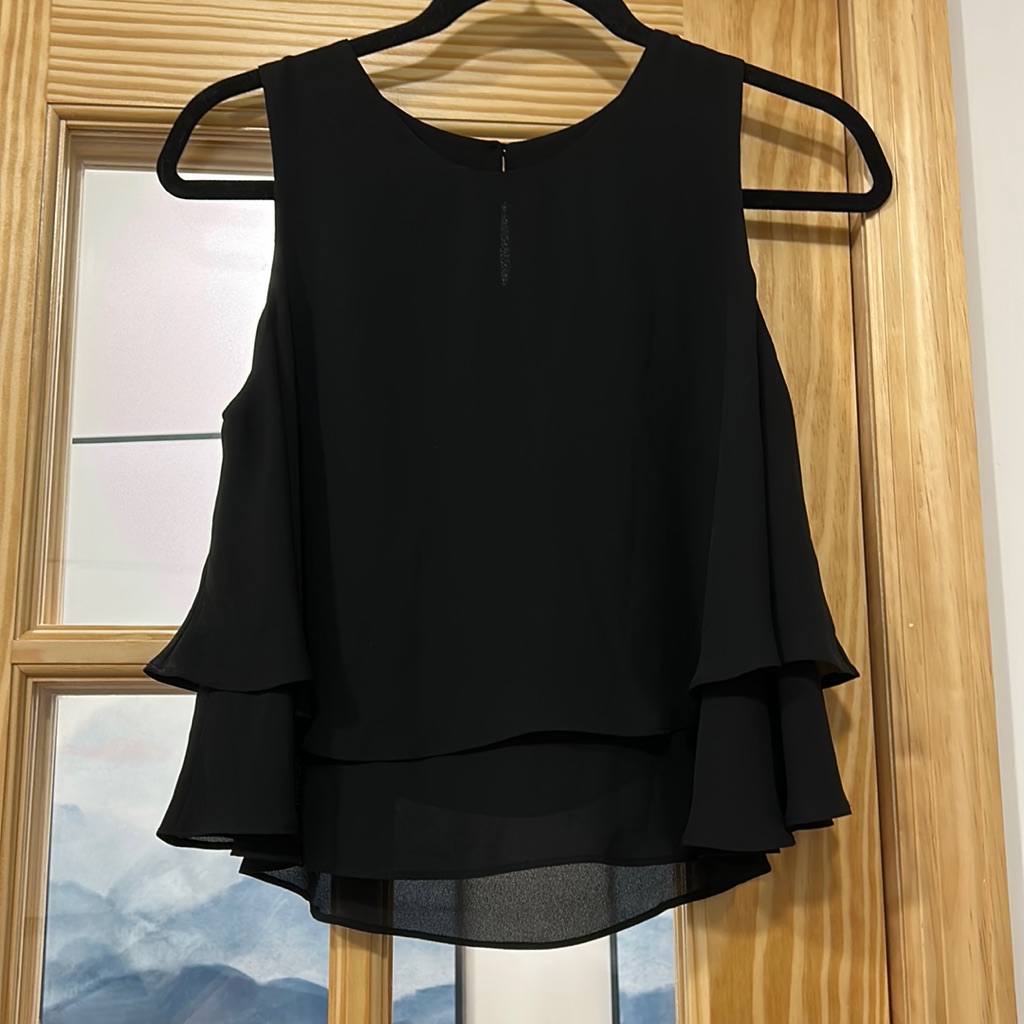 Zara Basic Tank Blouse
